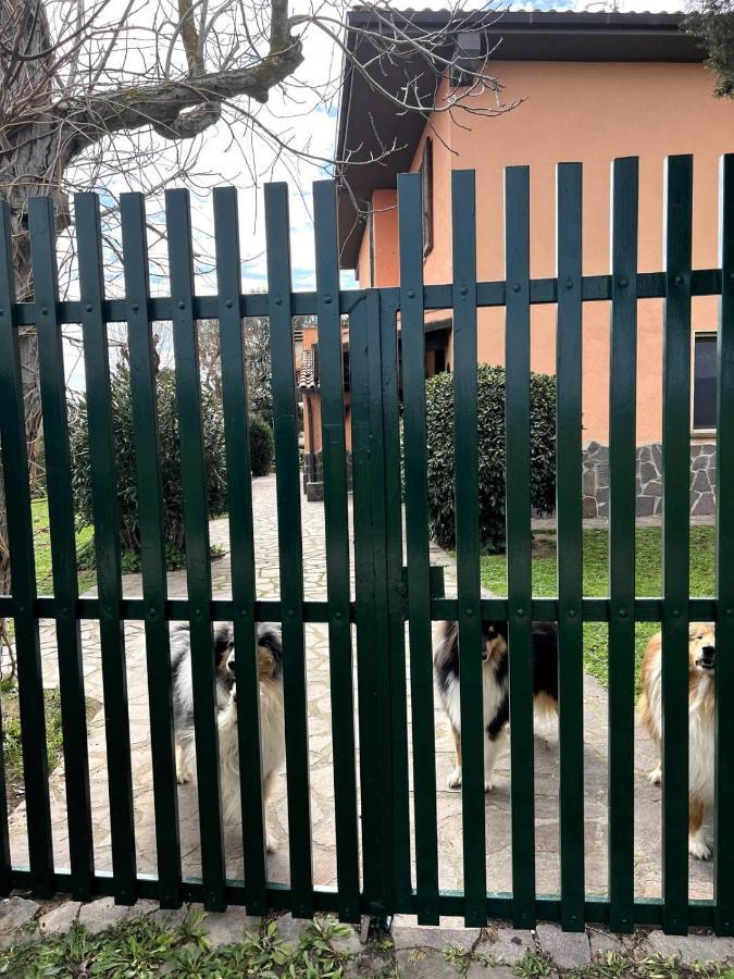 Loc.Cioccaie Grosseto Exterior foto